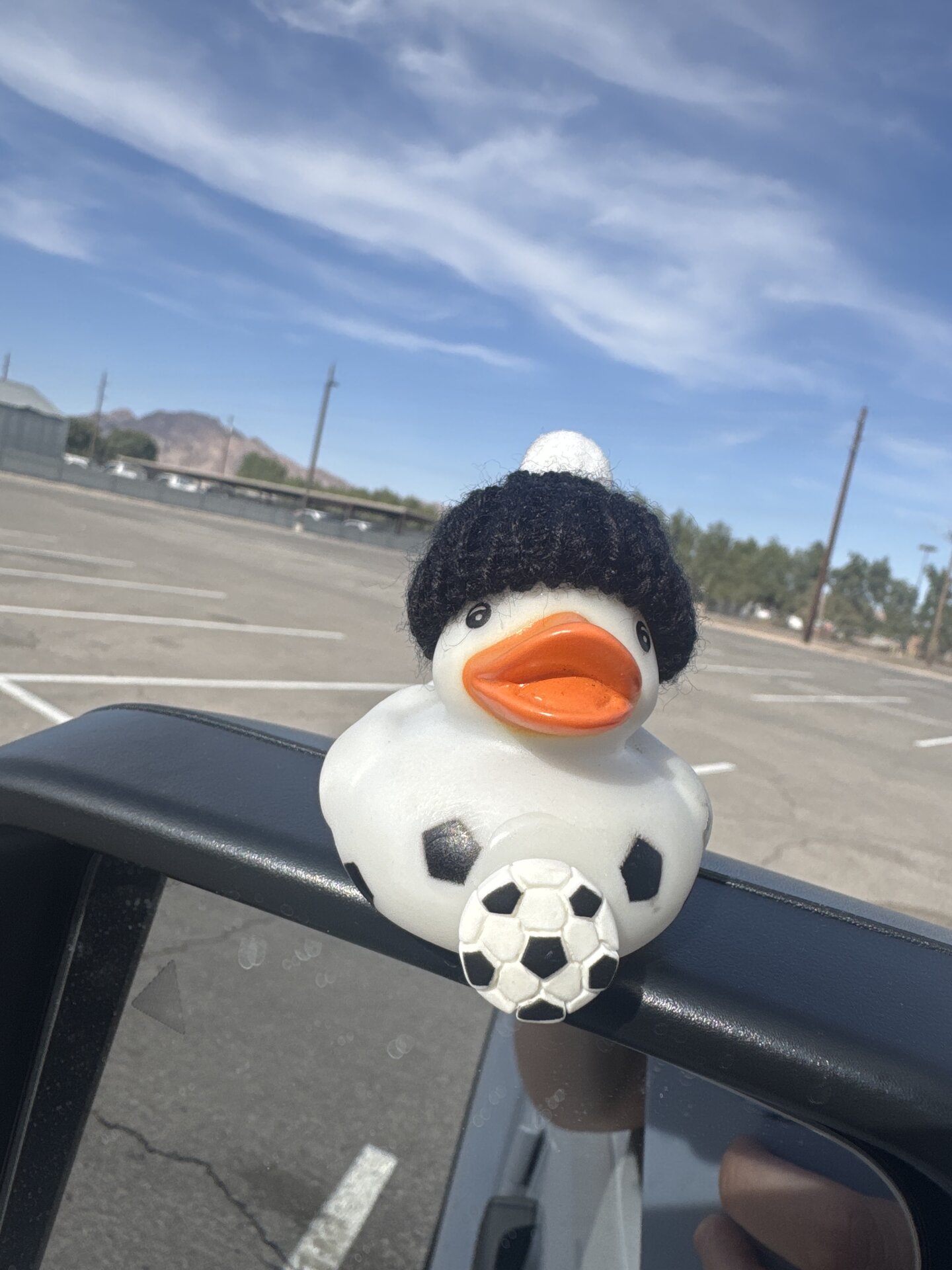 Goalie Waddles