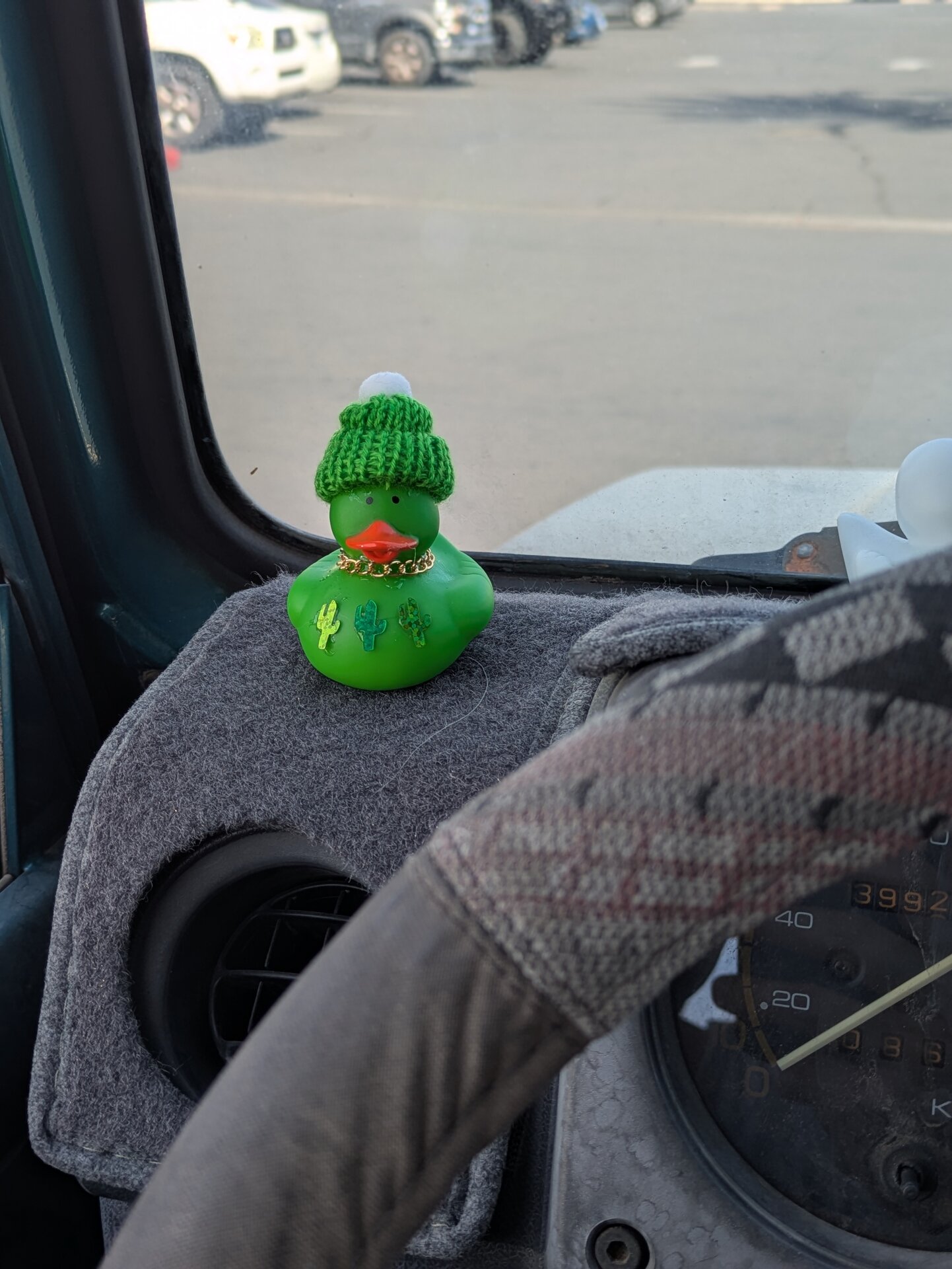 Mr. Cacti